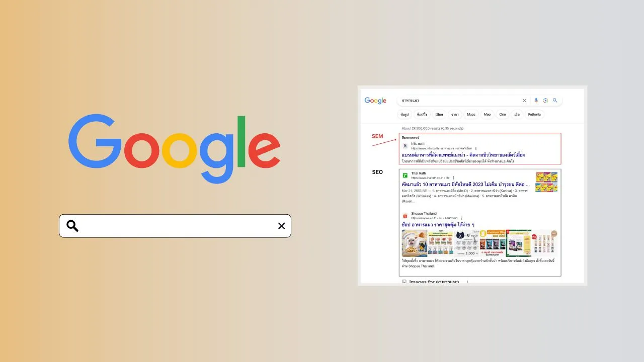 SEO vs SEM Marketing แบบไหนเหมาะกับธุรกิจของเราที่สุด?