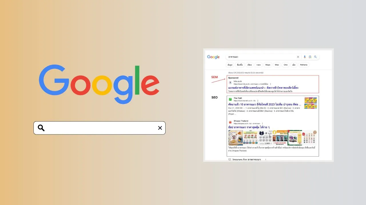 SEO คืออะไร? ศาสตร์การ optimize เว็บติดหน้าแรก Google แบบไม่เสียค่าโฆษณา